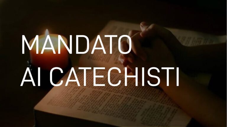Mandato-cat
